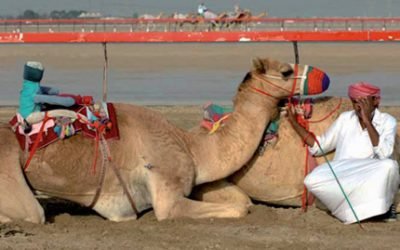 The Lonely Ride Changes