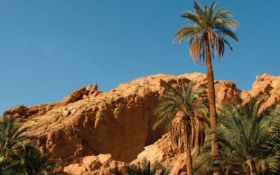 Sights: Middle East