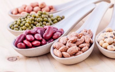 Cool Beans: Legumes Usher in Autumn