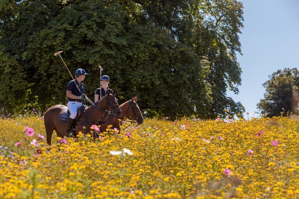 Coworth Park Guards Polo Academy meadow wood chip path-ALO Magazine