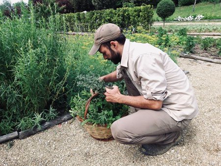 ilsalviatino gardening 4 - ALO Magazine