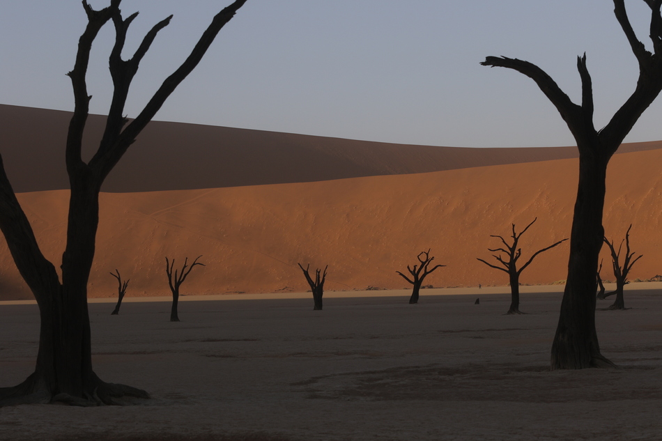Sunrise is the time for the long dead camelthorn trees silhouetted against the majestic sand dunes at Dead Vlei