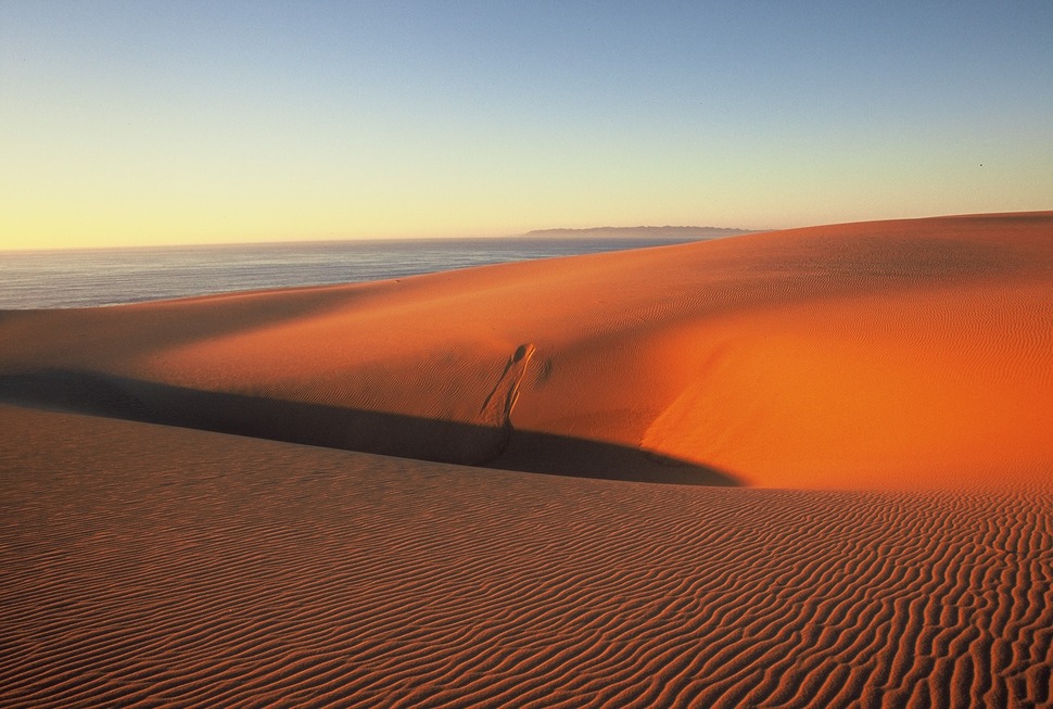 Guadalupe Nipomo Sand Dunes