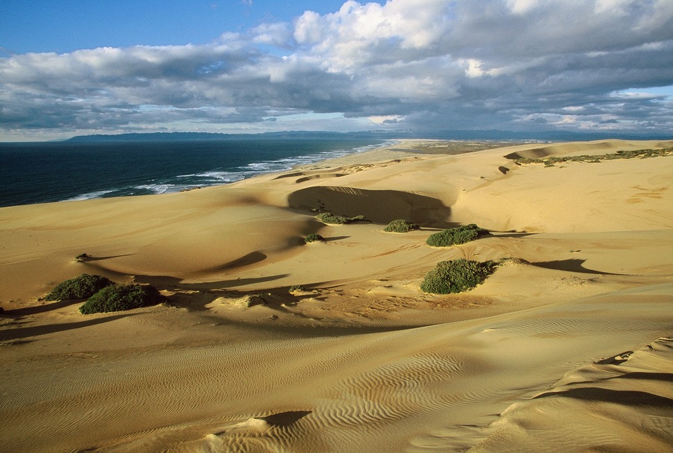 Guadalupe Nipomo Sand Dunes