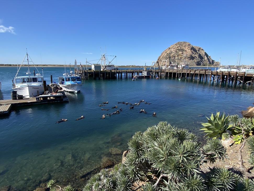 Morro Bay