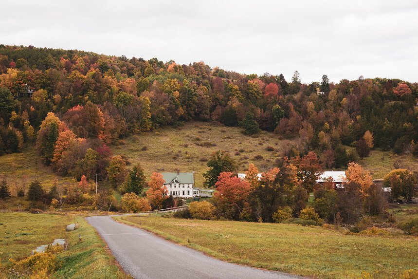 From Farm to Table