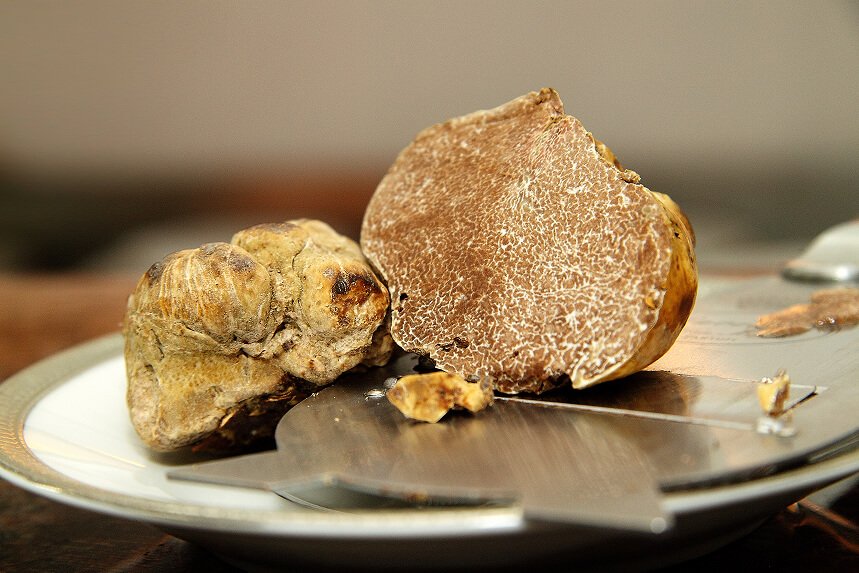 Raw white truffles
