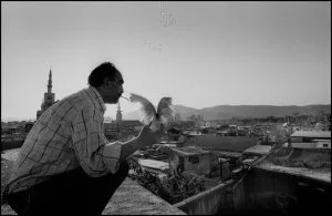 kash03.syria