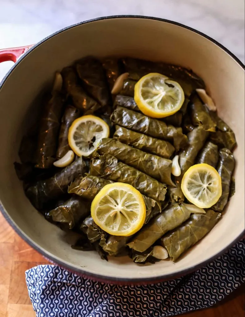 Grape Leaves Dish - ALO Magazine
