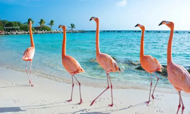 Itching to Travel? There’s 10 Countries That Still Want U.S. Travelers