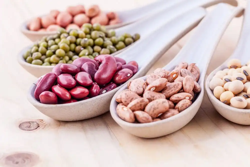 Beans - ALO Magazine 2 Beans - ALO Magazine 2