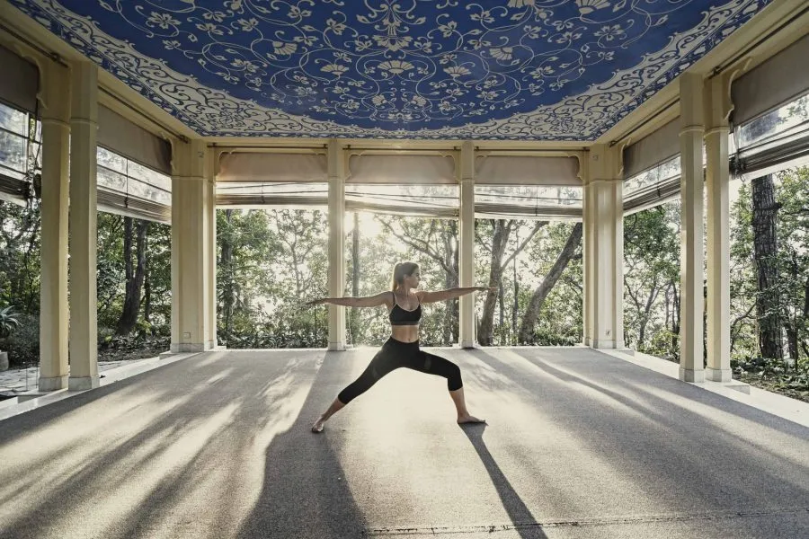 Ananda Yoga- ALO Magazine