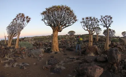 The Grit and Grind of Namibia