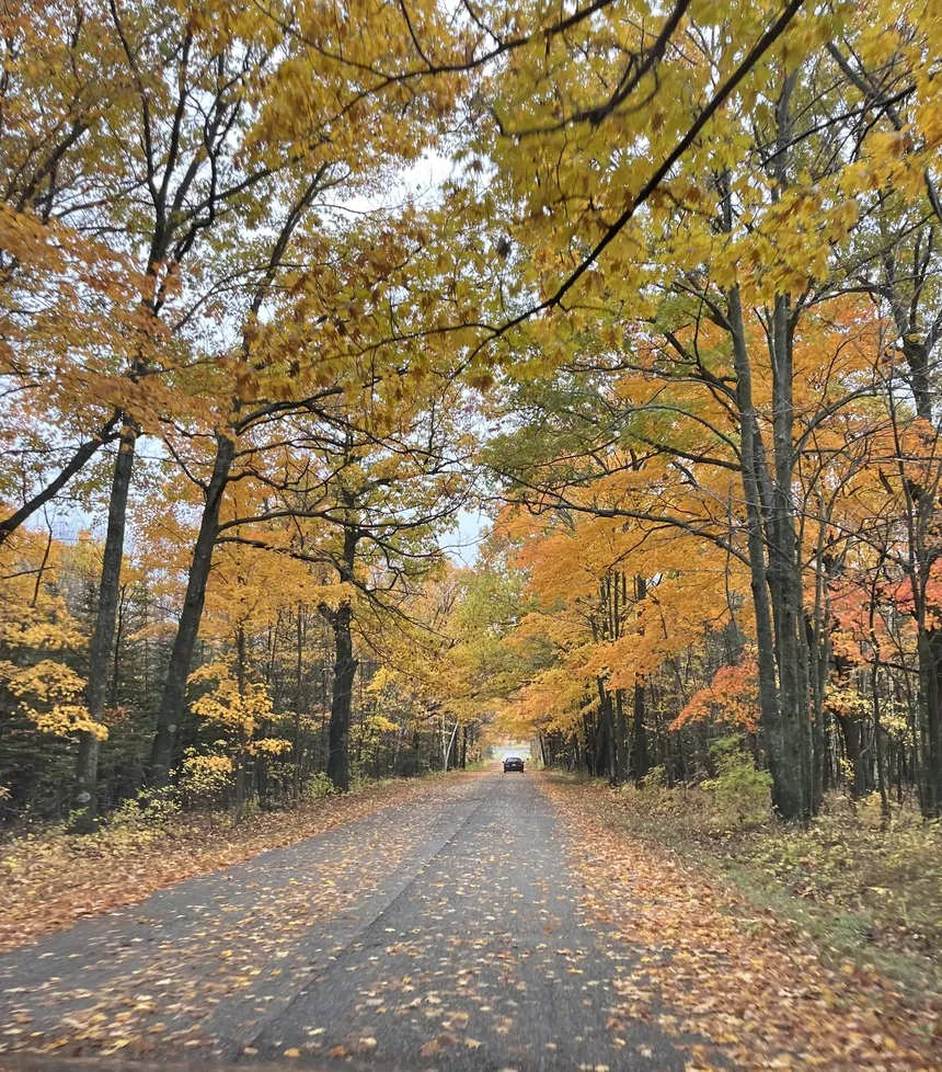 Highway 42’s breathtaking display of golds and oranges.