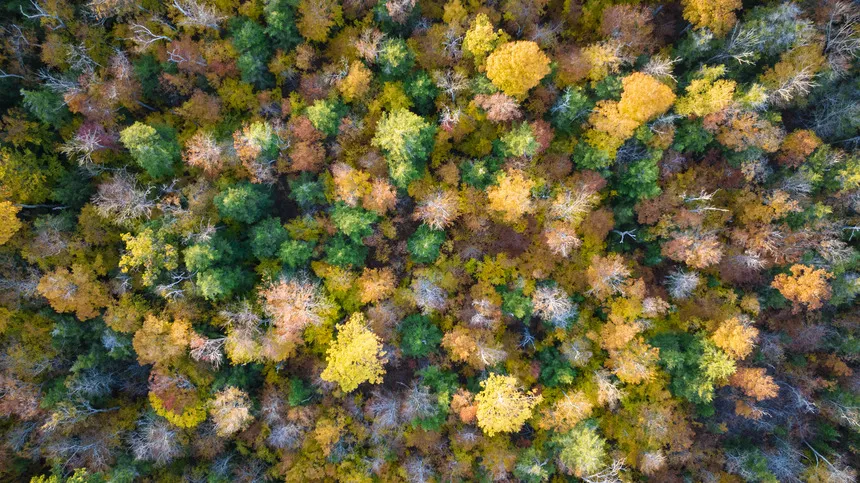 MikeTittel_Winding-Road_102