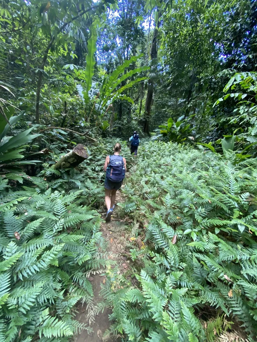 Through trek from ranger station to ranger station in Corcovado National Park, Osa Peninsula, Costa Rica Through trek from ranger station to ranger station in Corcovado National Park, Osa Peninsula, Costa Rica