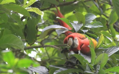 Trekking into Biodiversity
