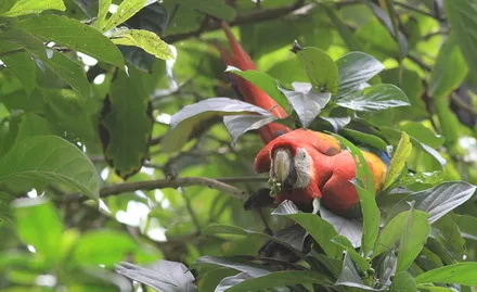 Trekking into Biodiversity