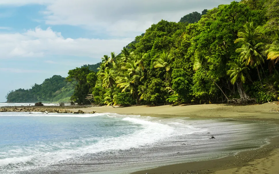 Trekking into Biodiversity- ALO Magazine Trekking into Biodiversity- ALO Magazine