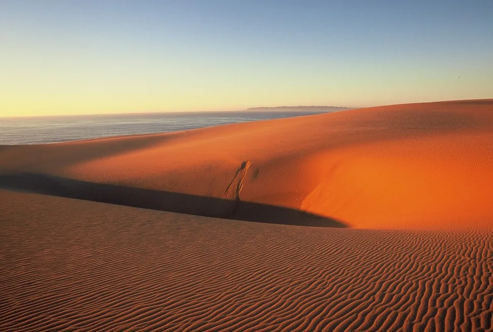 ChuckGraham_DuneDepression_GuadalupeNipomoSandDUnesNWF_IMG087 Guadalupe Nipomo Sand Dunes