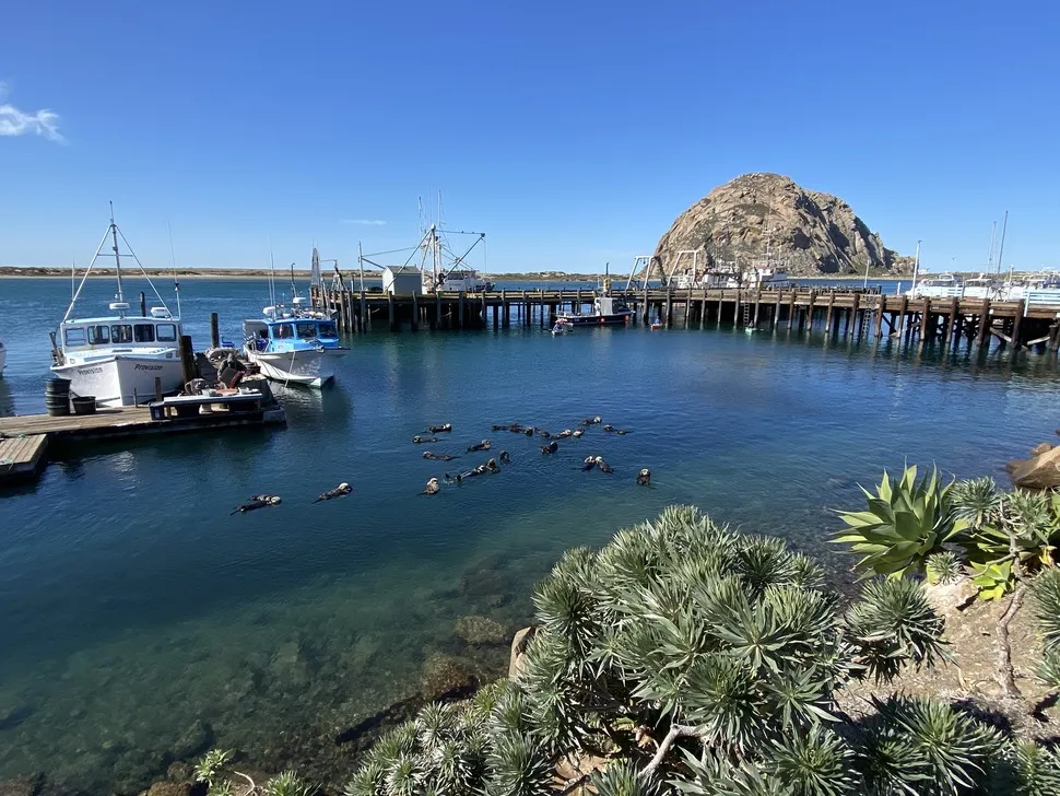 ChuckGraham_MorroBay_SLO_IMG064 Morro Bay