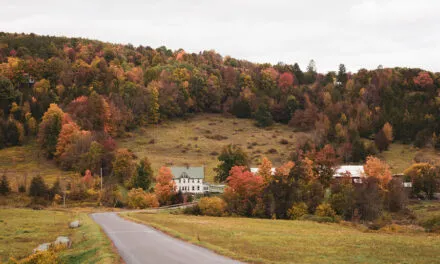 From Farm to Table