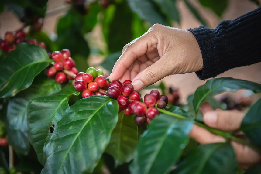 The elegant Autumn by Ludovica Mascheroni