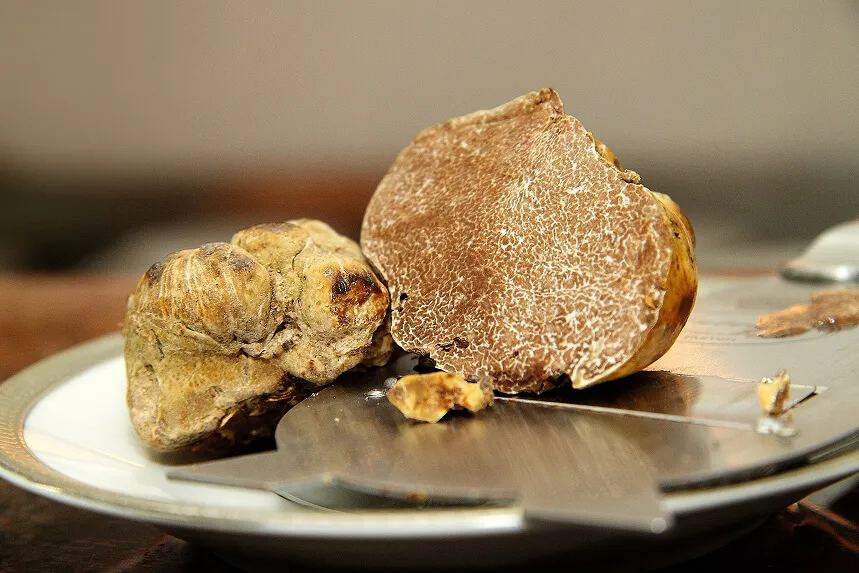 Raw white truffles